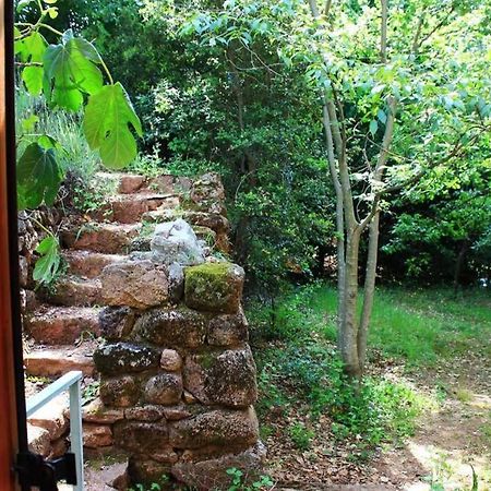 Belle et grande maison ardèchoise Payzac  Extérieur photo